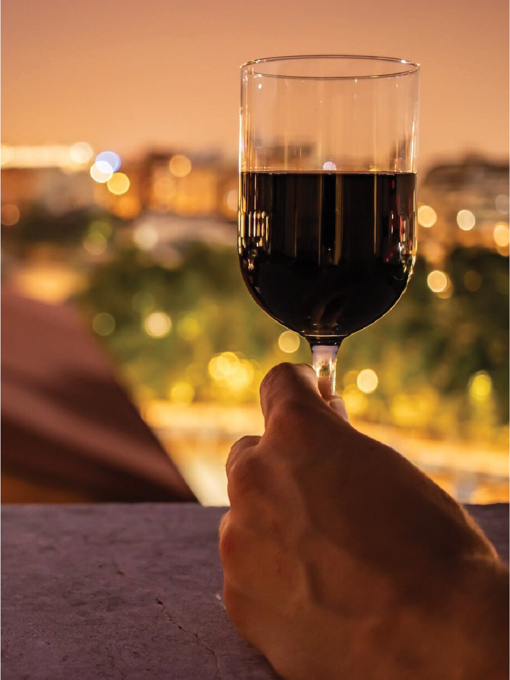 Guías especializados