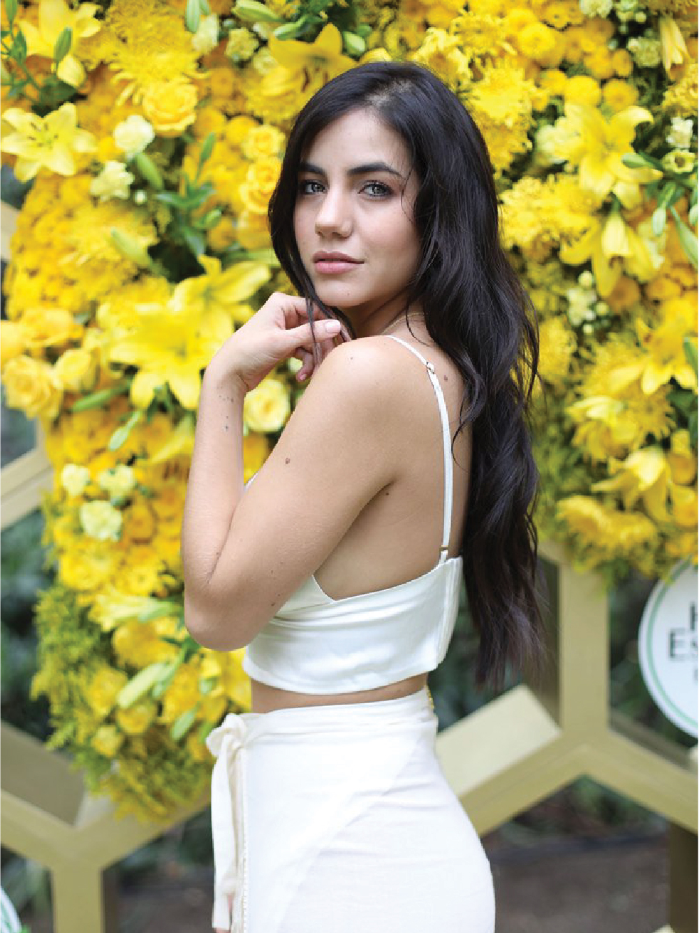 Entrenamiento de influencers